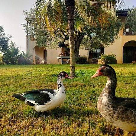 مبيت وإفطار Castelvetrano La Finestra Sul Limone المظهر الخارجي الصورة