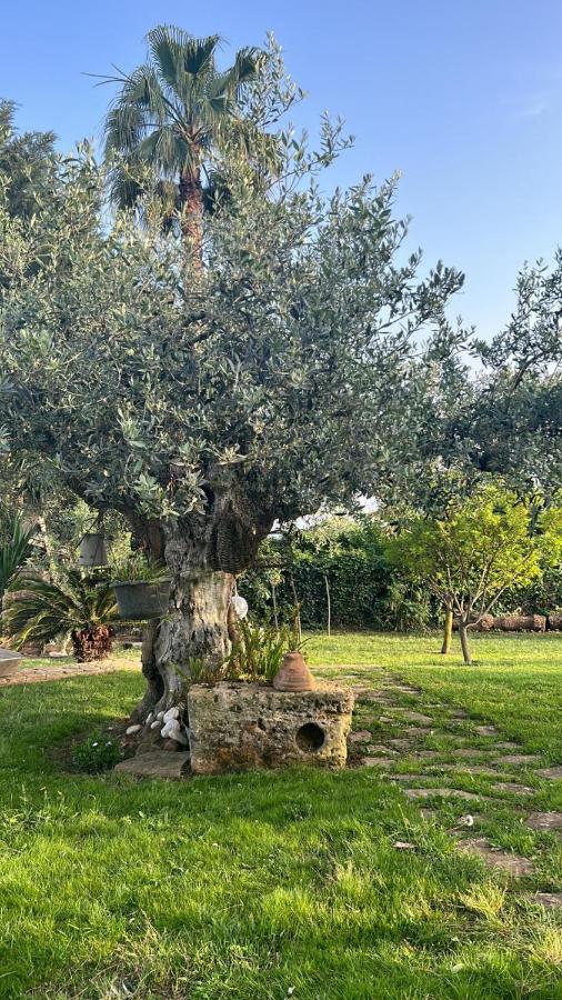 مبيت وإفطار Castelvetrano La Finestra Sul Limone المظهر الخارجي الصورة