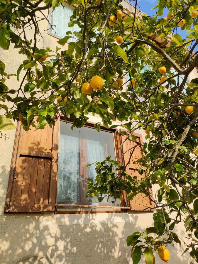 مبيت وإفطار Castelvetrano La Finestra Sul Limone المظهر الخارجي الصورة